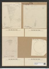 Actinocyclus confluens Grun. (de-Toni-Nr.: Genus 195, Species 4771) Zeichnungen Sammlung Grunow Nr. 8406 (NHMW-BOT-W0377846)
